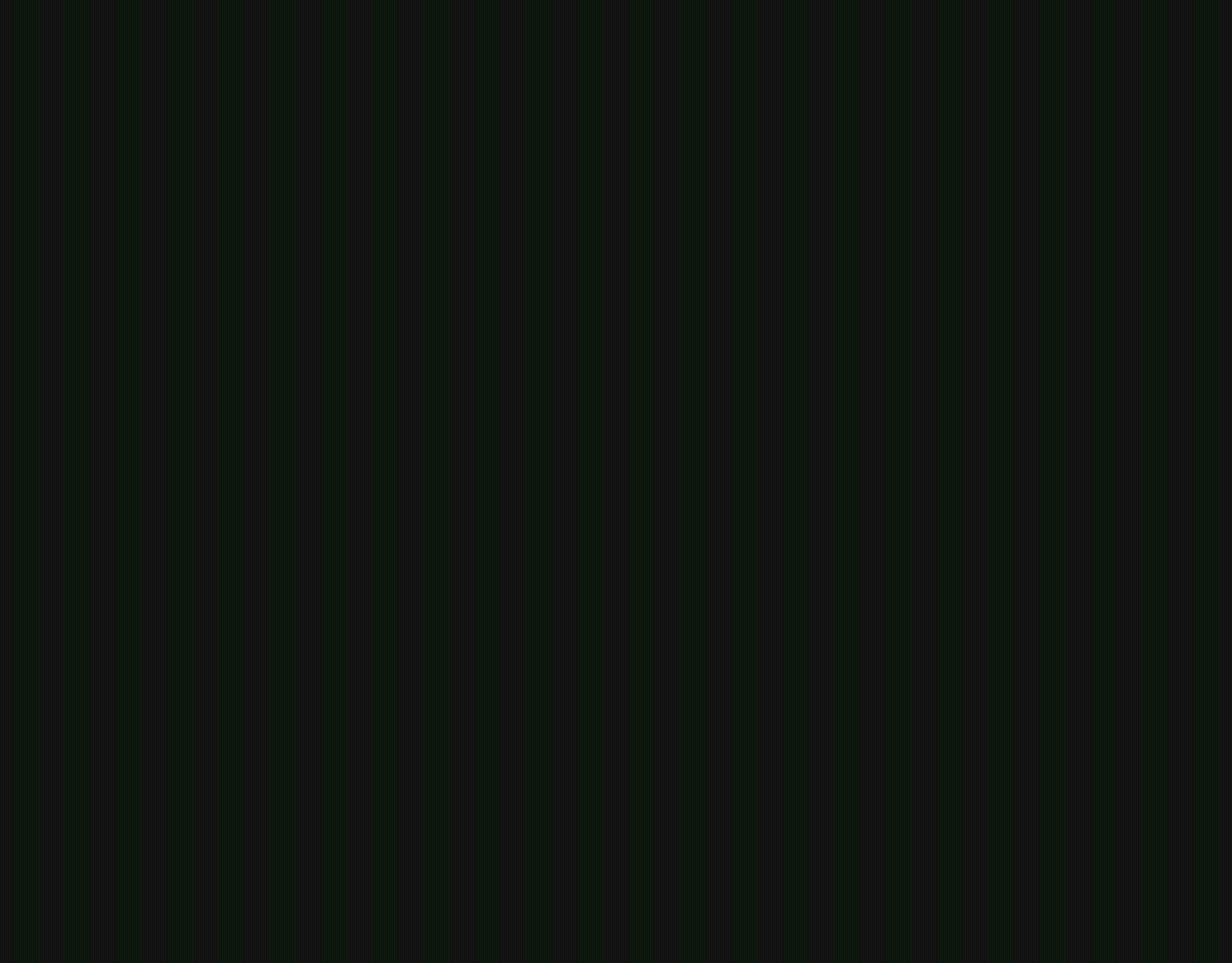 Brammer logo animation